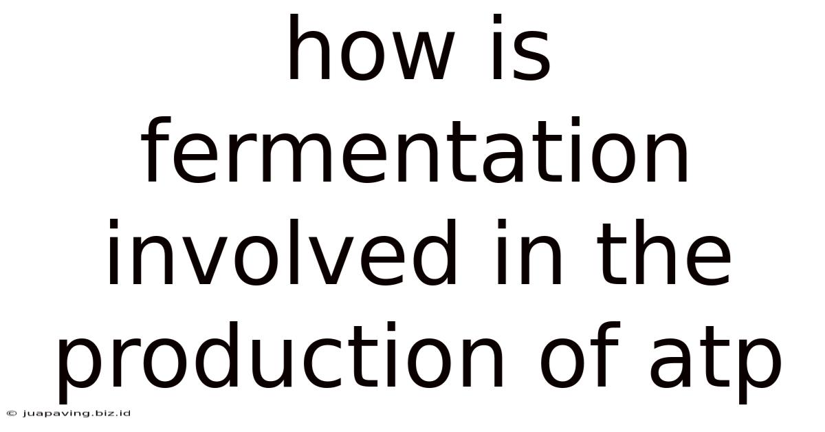 How Is Fermentation Involved In The Production Of Atp