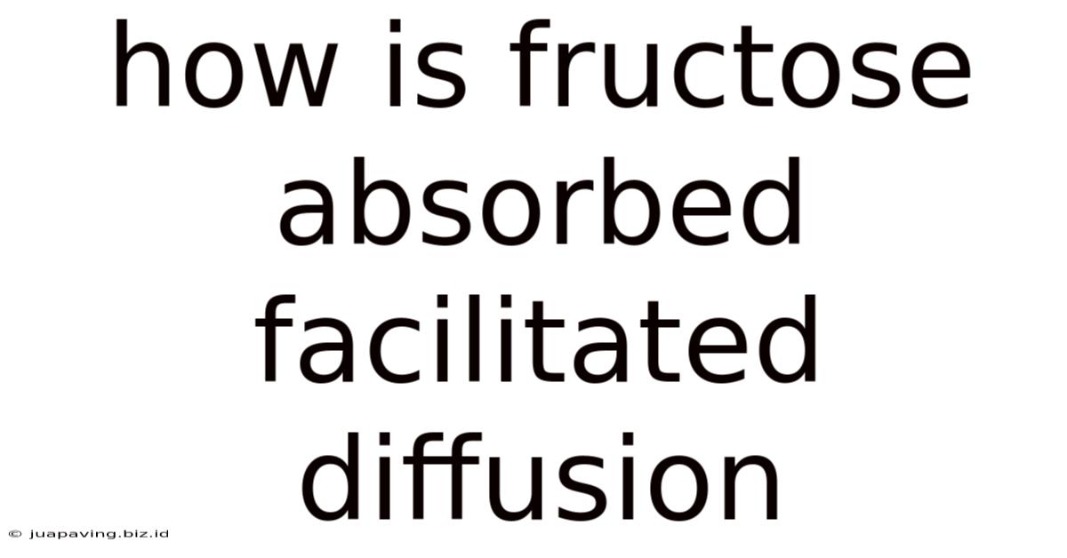 How Is Fructose Absorbed Facilitated Diffusion
