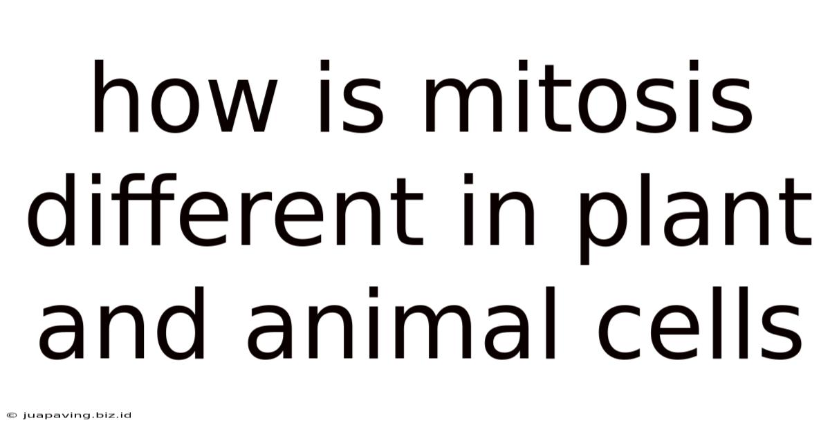 How Is Mitosis Different In Plant And Animal Cells
