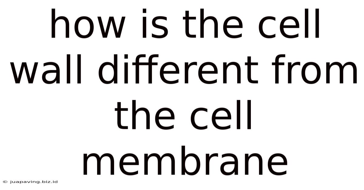 How Is The Cell Wall Different From The Cell Membrane