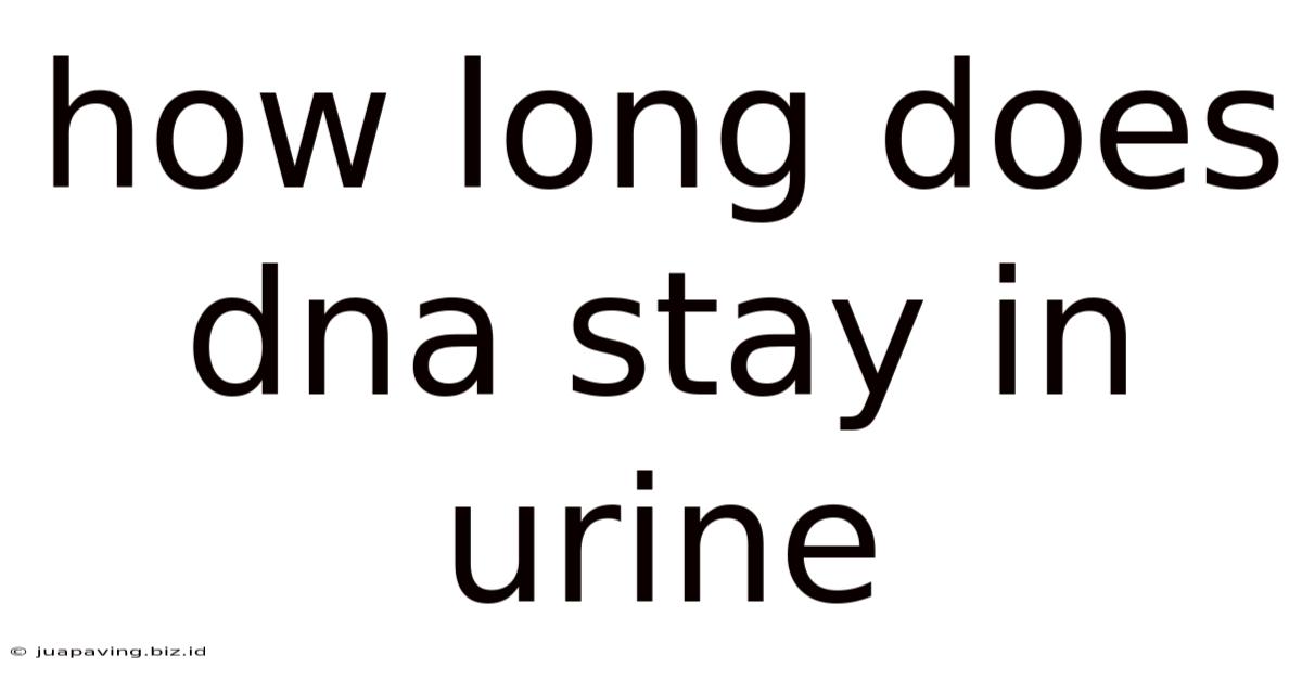 How Long Does Dna Stay In Urine