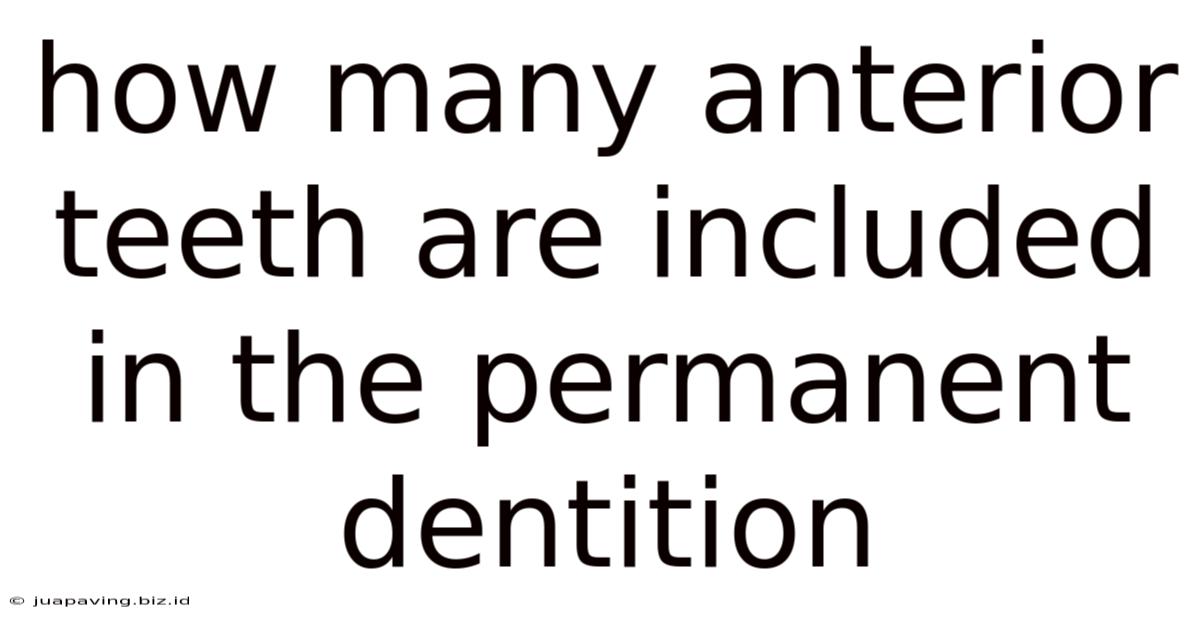 How Many Anterior Teeth Are Included In The Permanent Dentition