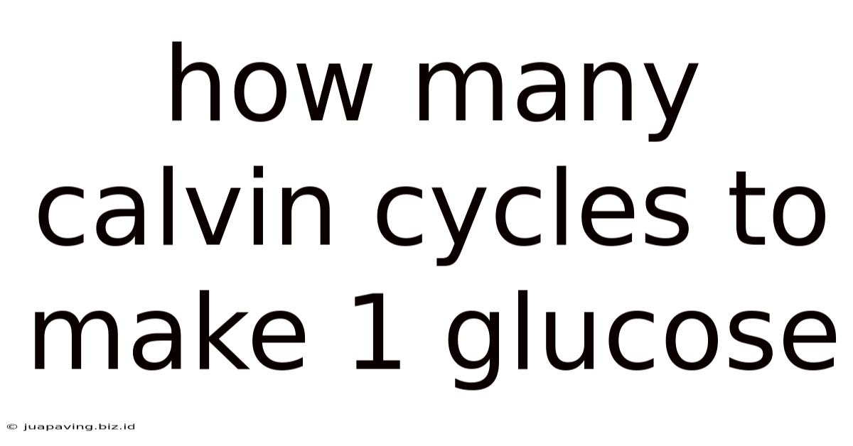 How Many Calvin Cycles To Make 1 Glucose