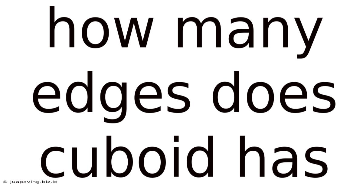 How Many Edges Does Cuboid Has
