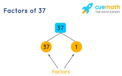 How Many Factors Does 37 Have