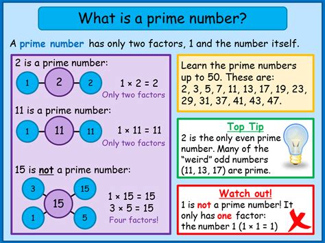 How Many Factors Does 6 Have