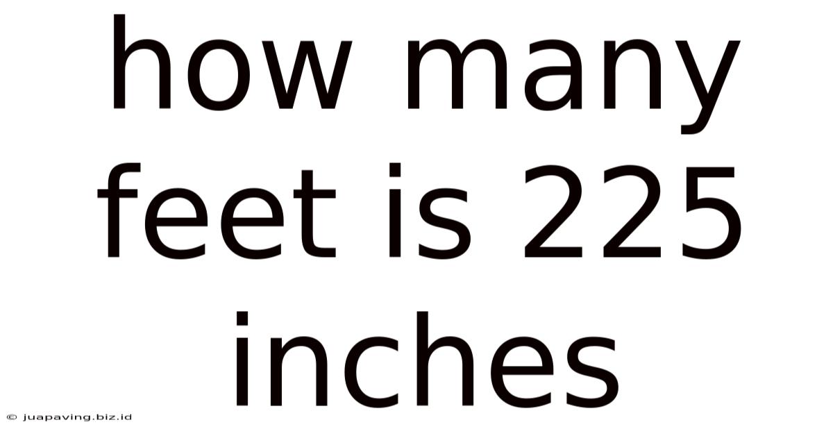 How Many Feet Is 225 Inches