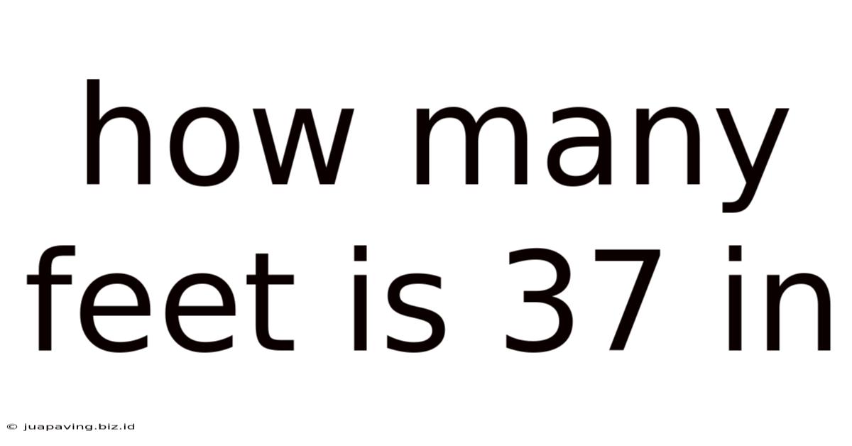 How Many Feet Is 37 In