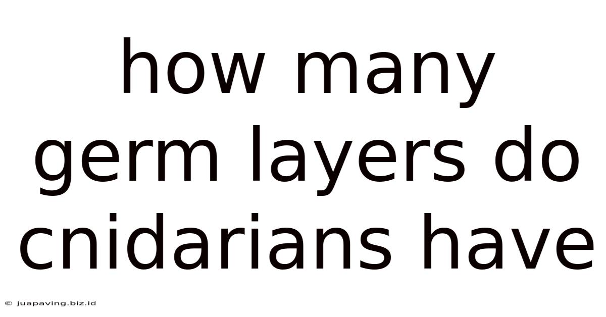How Many Germ Layers Do Cnidarians Have