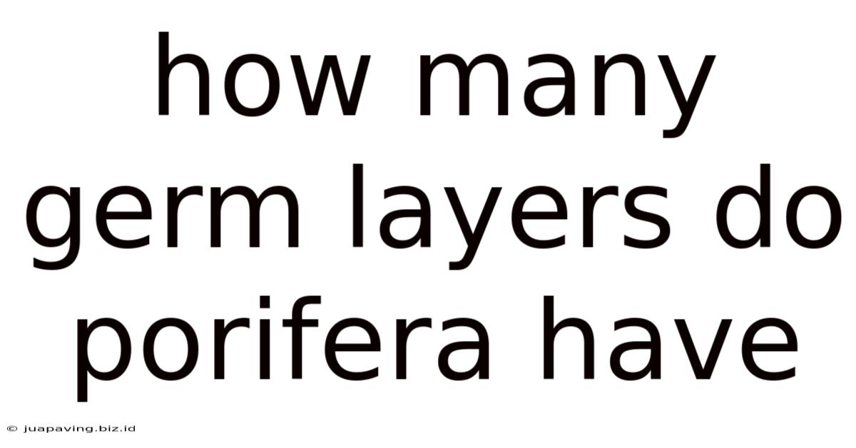 How Many Germ Layers Do Porifera Have