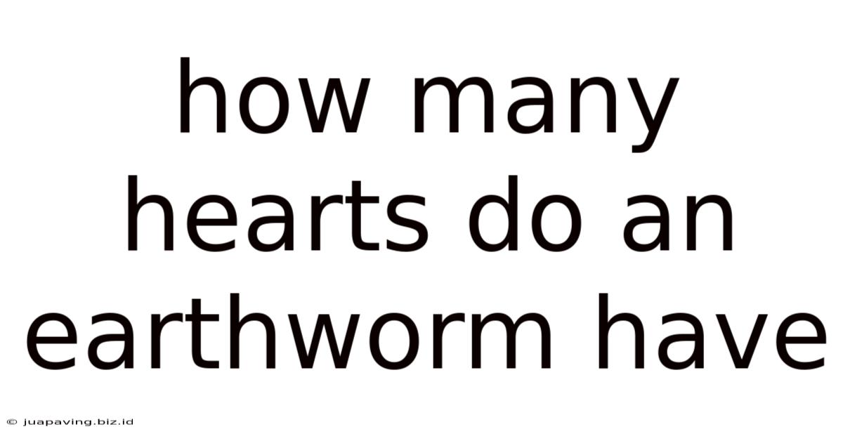 How Many Hearts Do An Earthworm Have