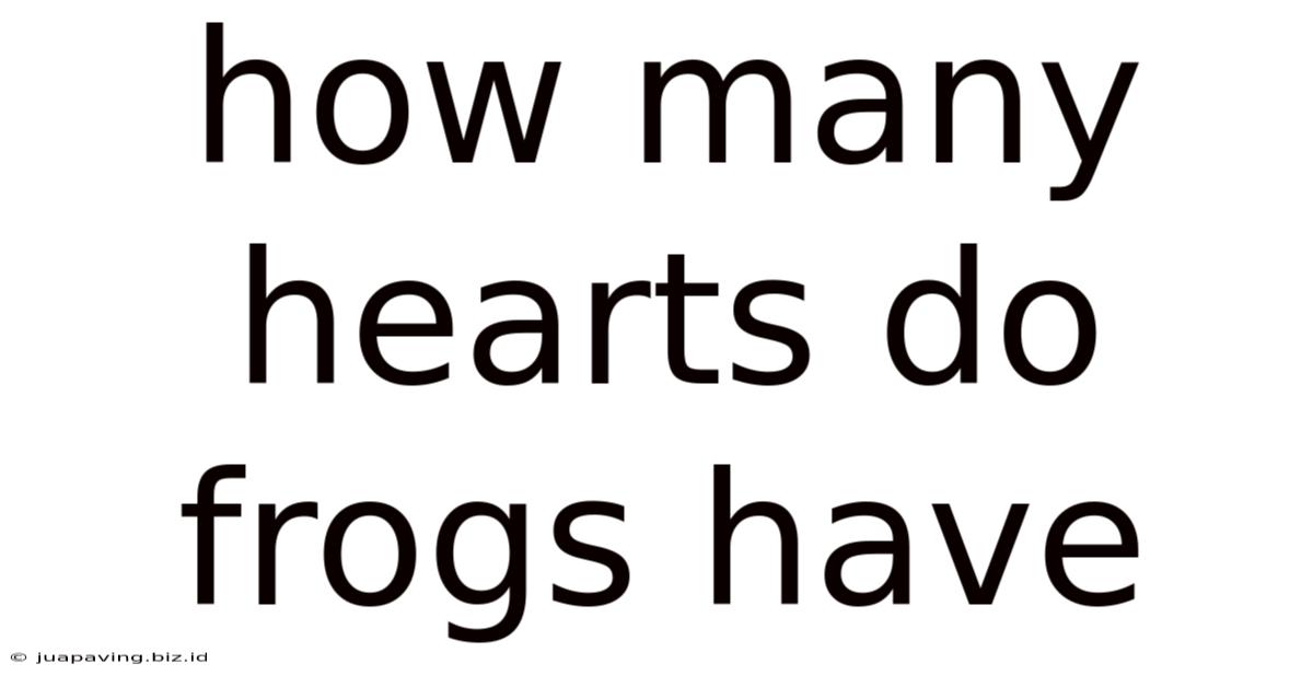 How Many Hearts Do Frogs Have