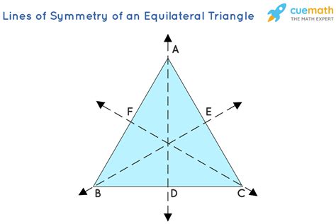 How Many Lines Of Symmetry Does A Equilateral Triangle Have