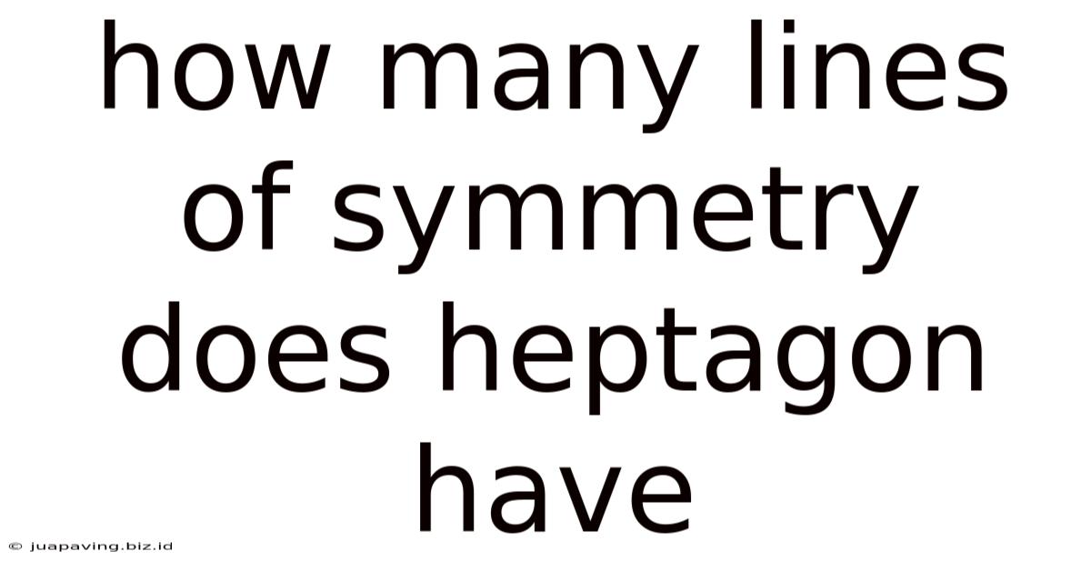 How Many Lines Of Symmetry Does Heptagon Have