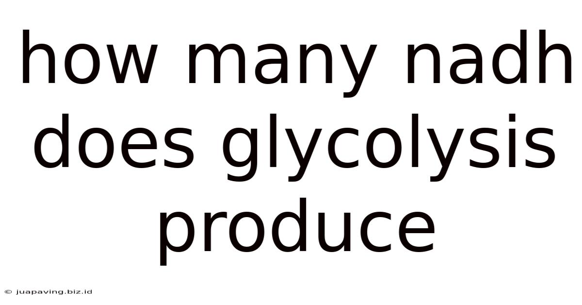 How Many Nadh Does Glycolysis Produce