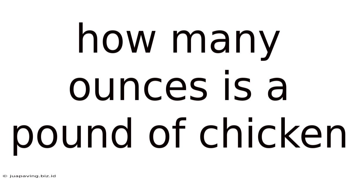 How Many Ounces Is A Pound Of Chicken