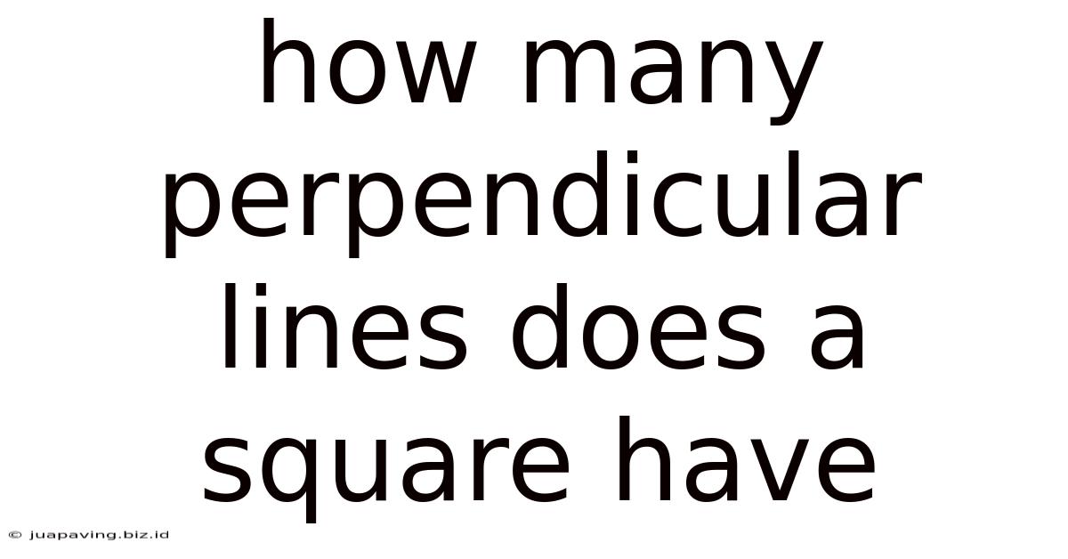 How Many Perpendicular Lines Does A Square Have