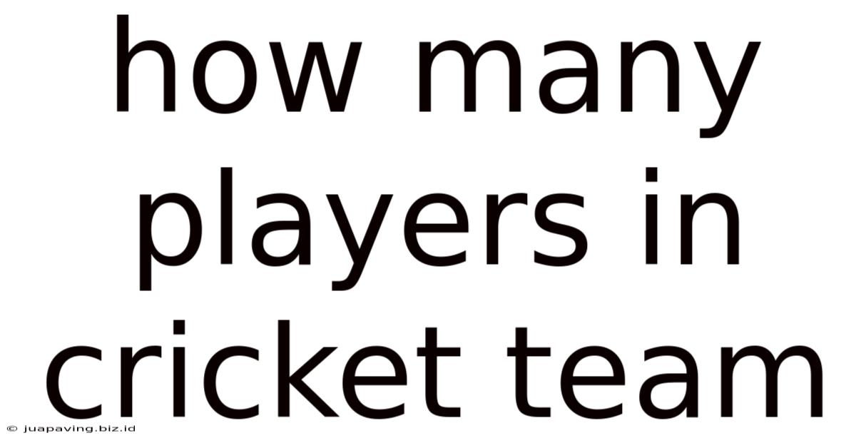 How Many Players In Cricket Team