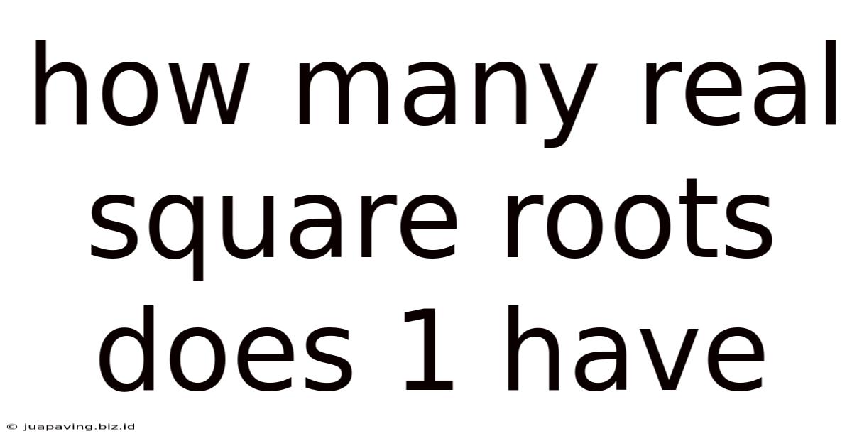 How Many Real Square Roots Does 1 Have