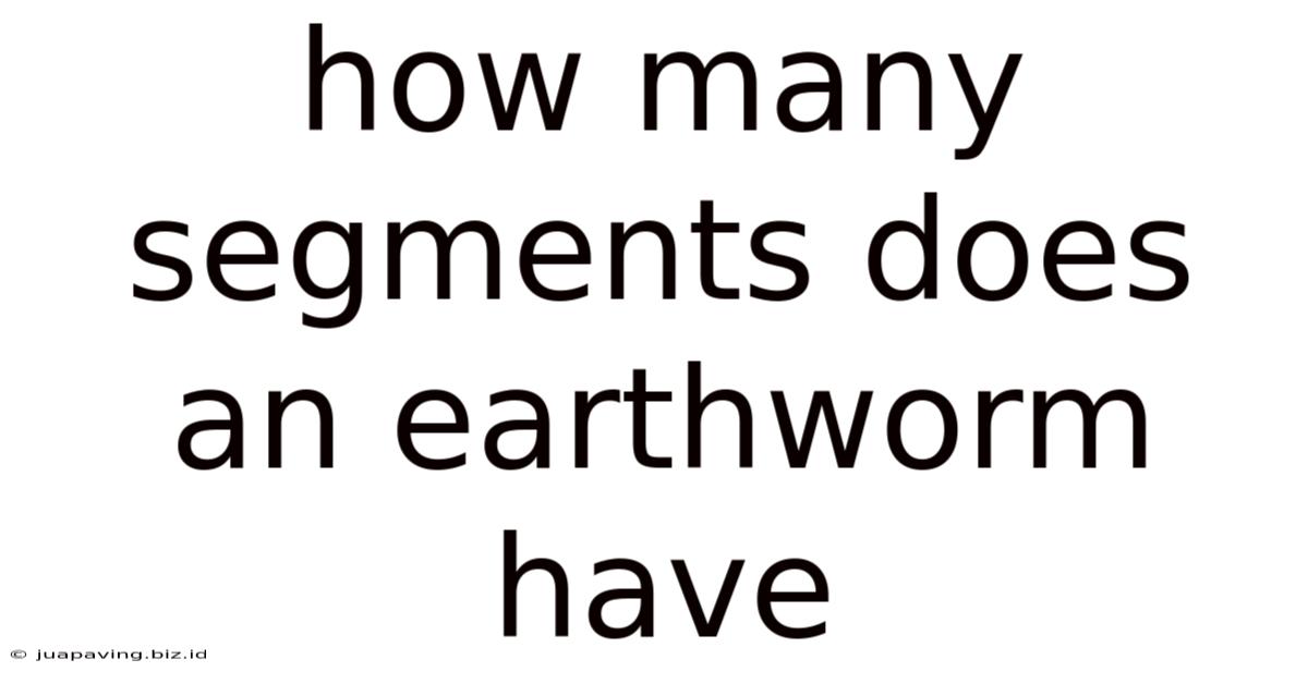 How Many Segments Does An Earthworm Have