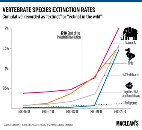 How Many Species Go Extinct In An Average Day