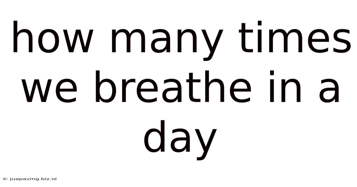How Many Times We Breathe In A Day