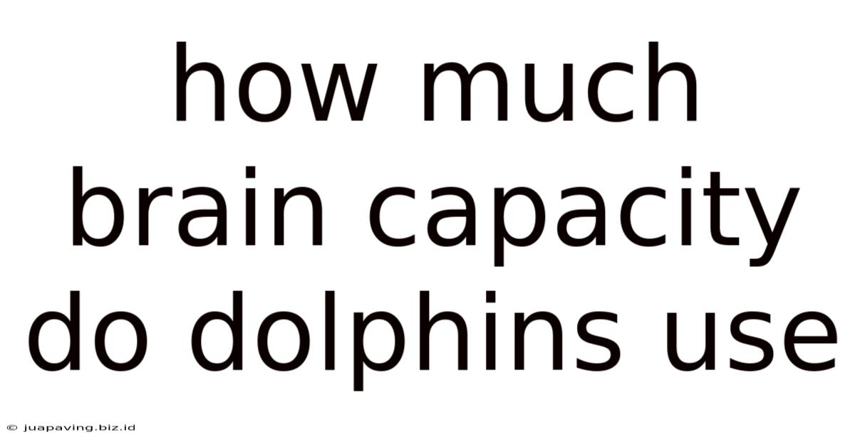 How Much Brain Capacity Do Dolphins Use