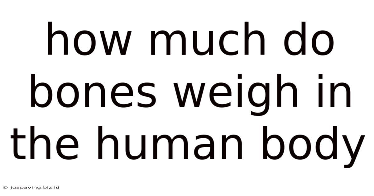 How Much Do Bones Weigh In The Human Body