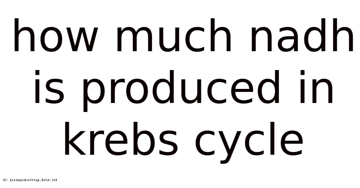 How Much Nadh Is Produced In Krebs Cycle