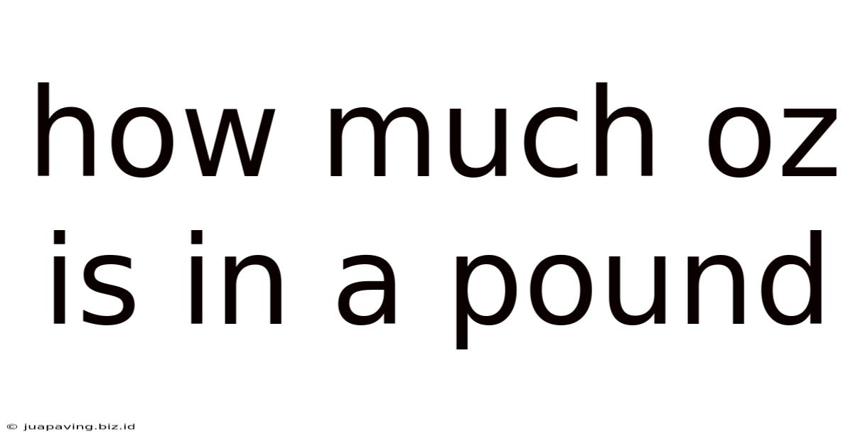 How Much Oz Is In A Pound