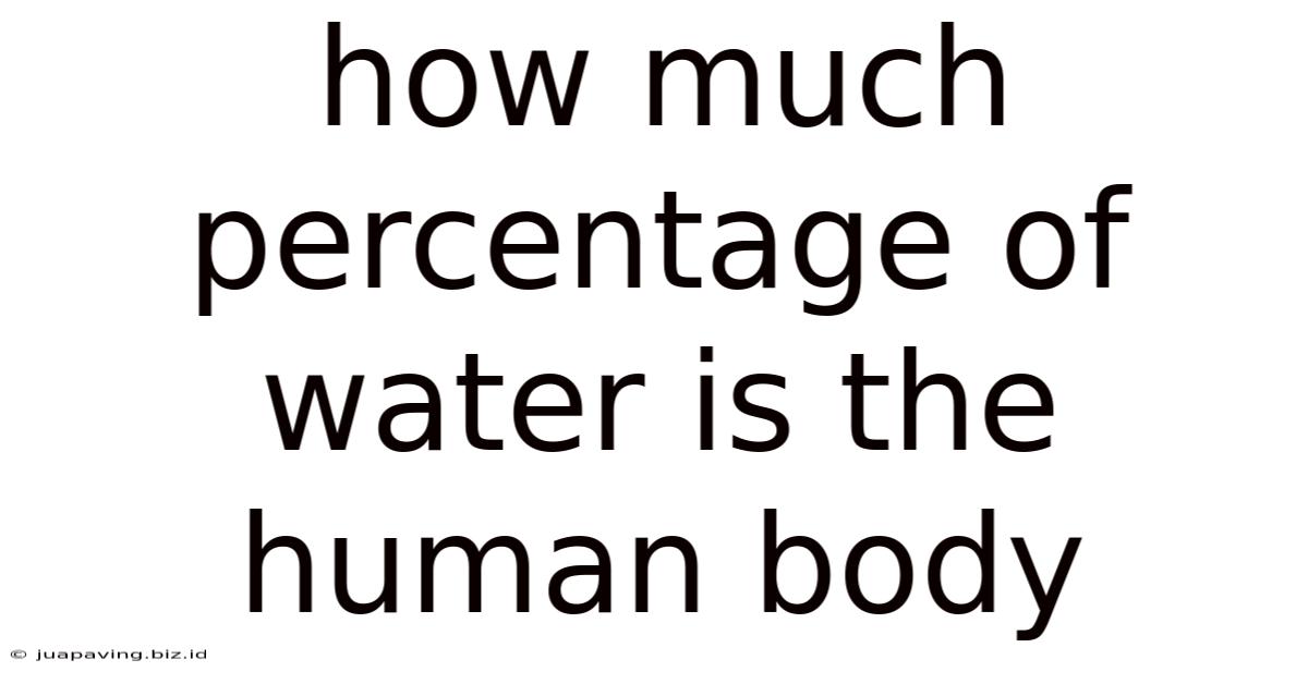 How Much Percentage Of Water Is The Human Body