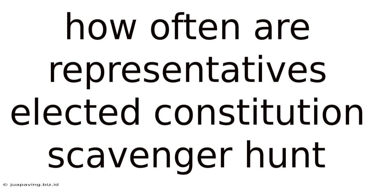 How Often Are Representatives Elected Constitution Scavenger Hunt