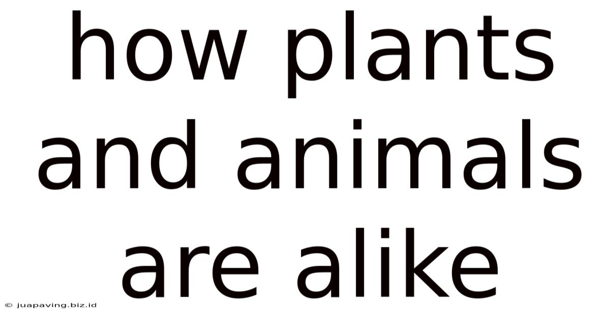 How Plants And Animals Are Alike