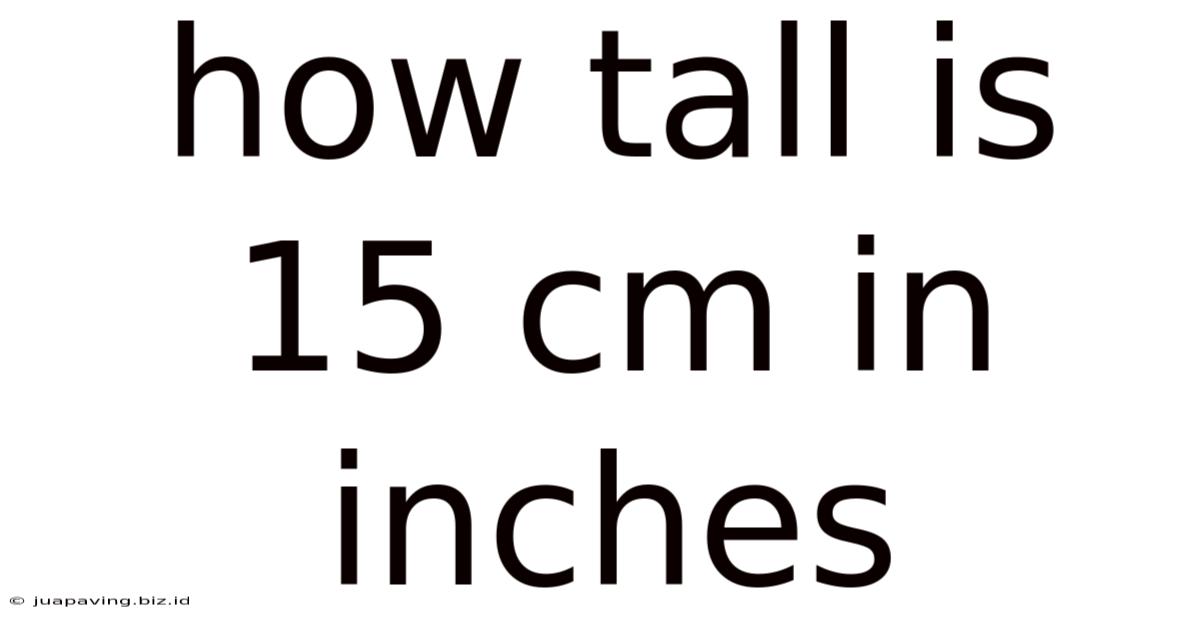 How Tall Is 15 Cm In Inches