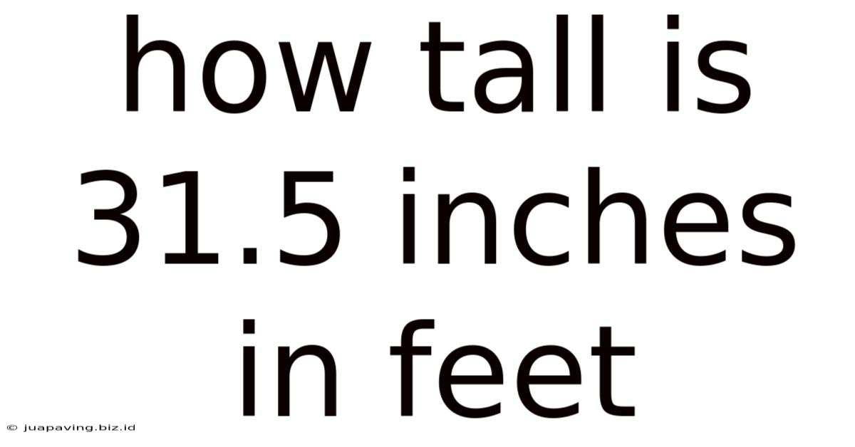 How Tall Is 31.5 Inches In Feet