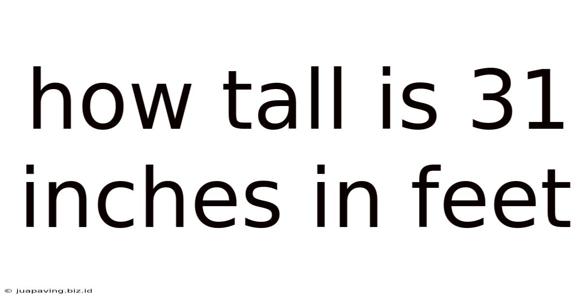 How Tall Is 31 Inches In Feet