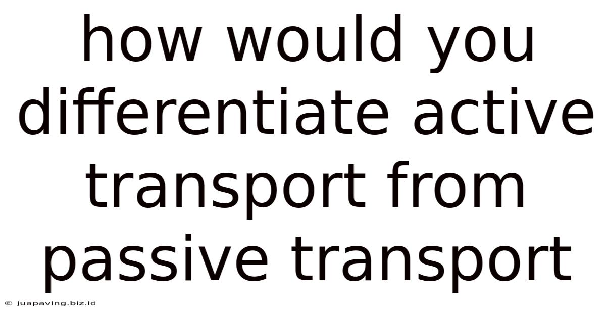 How Would You Differentiate Active Transport From Passive Transport