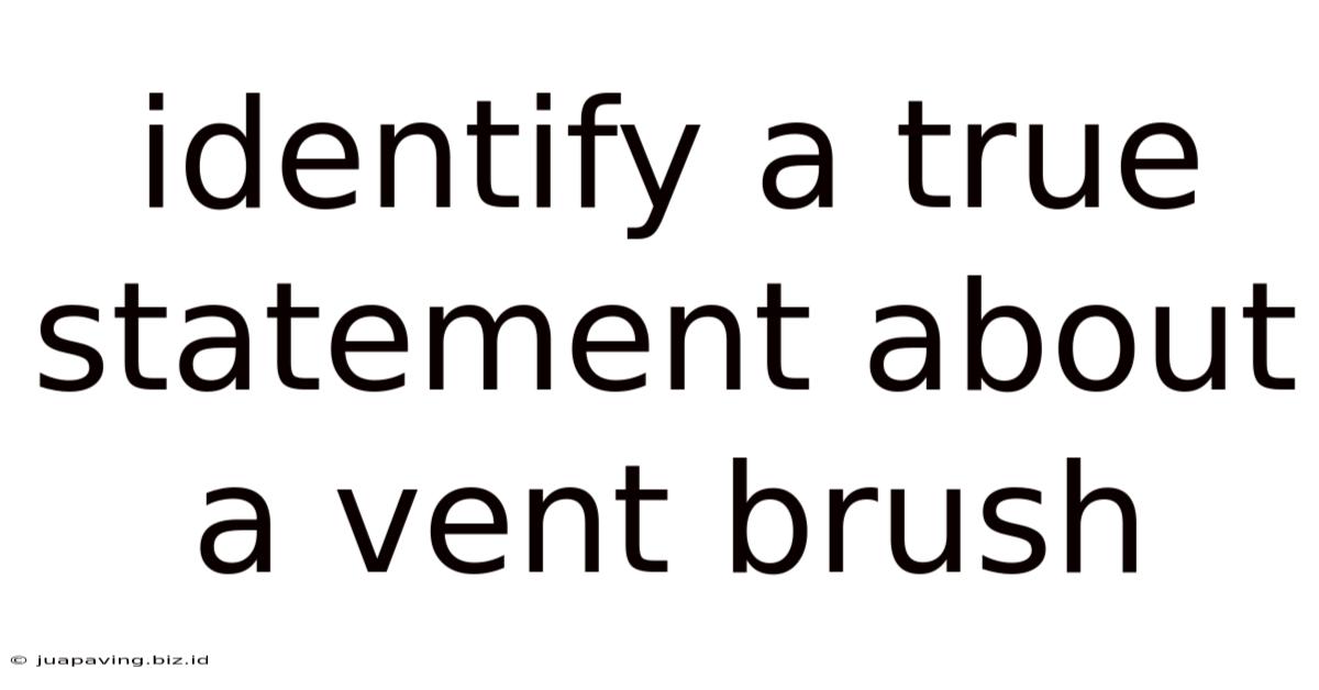Identify A True Statement About A Vent Brush