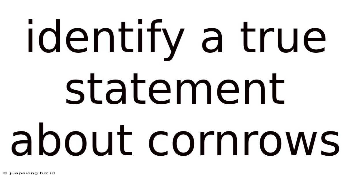 Identify A True Statement About Cornrows