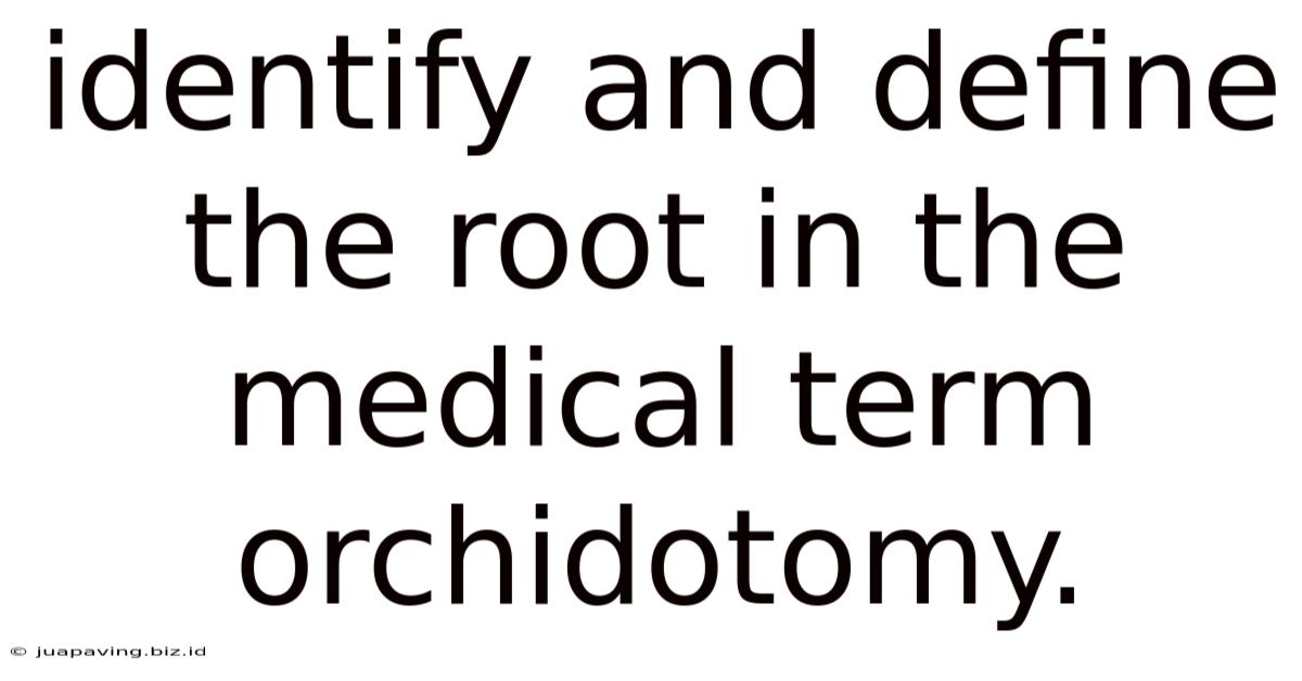 Identify And Define The Root In The Medical Term Orchidotomy.