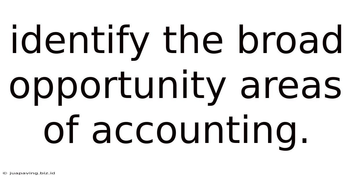 Identify The Broad Opportunity Areas Of Accounting.
