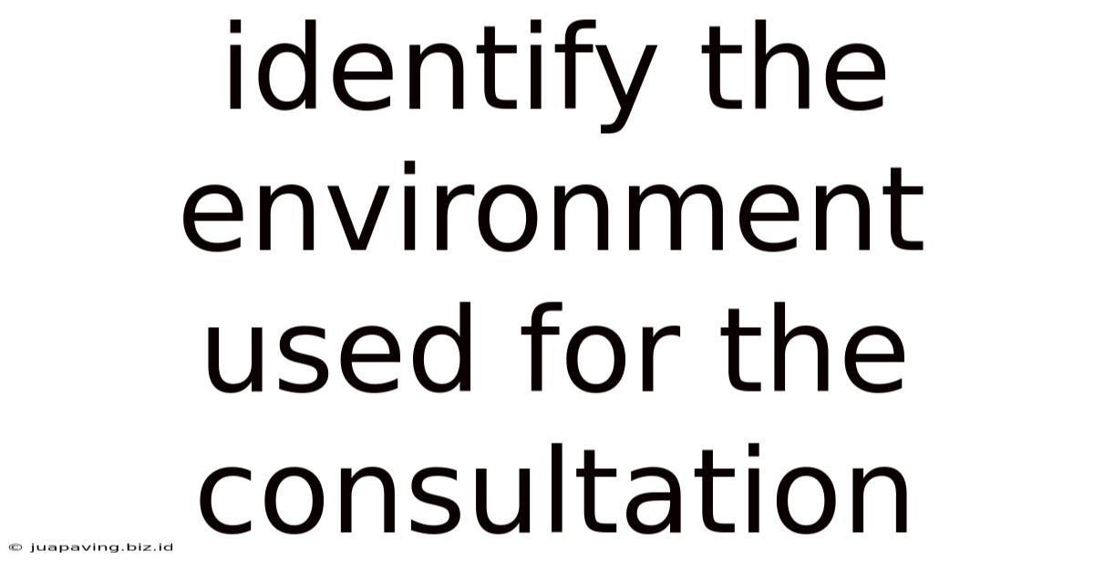 Identify The Environment Used For The Consultation