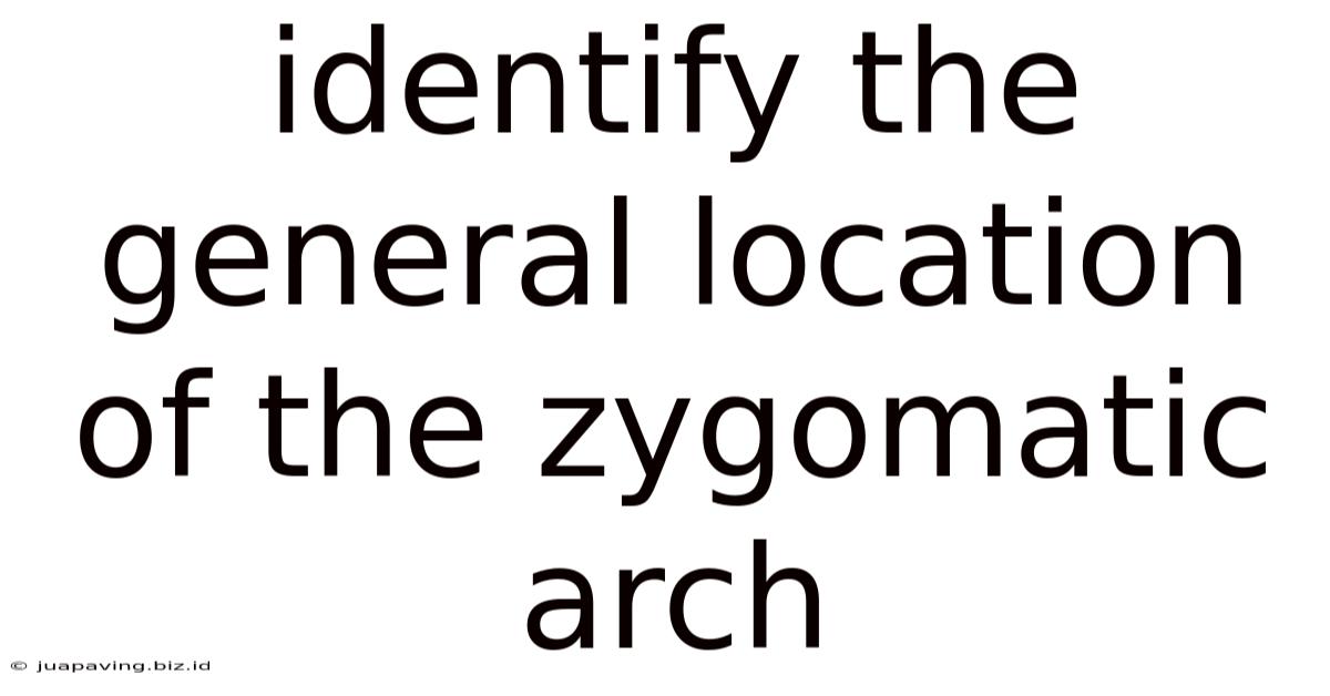 Identify The General Location Of The Zygomatic Arch