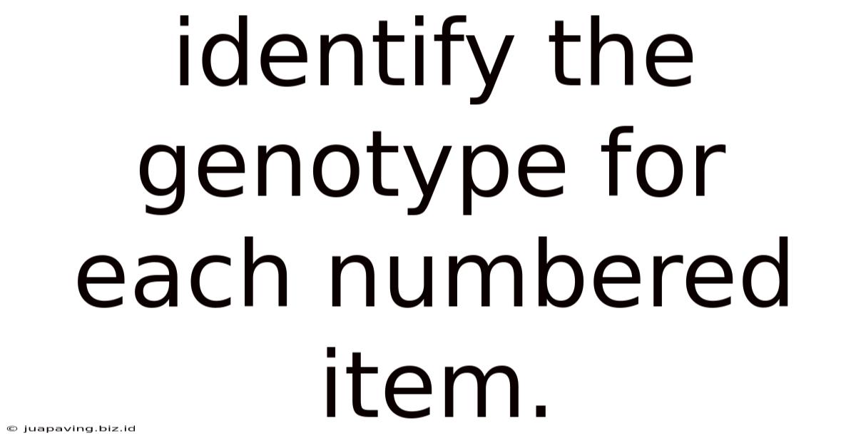 Identify The Genotype For Each Numbered Item.