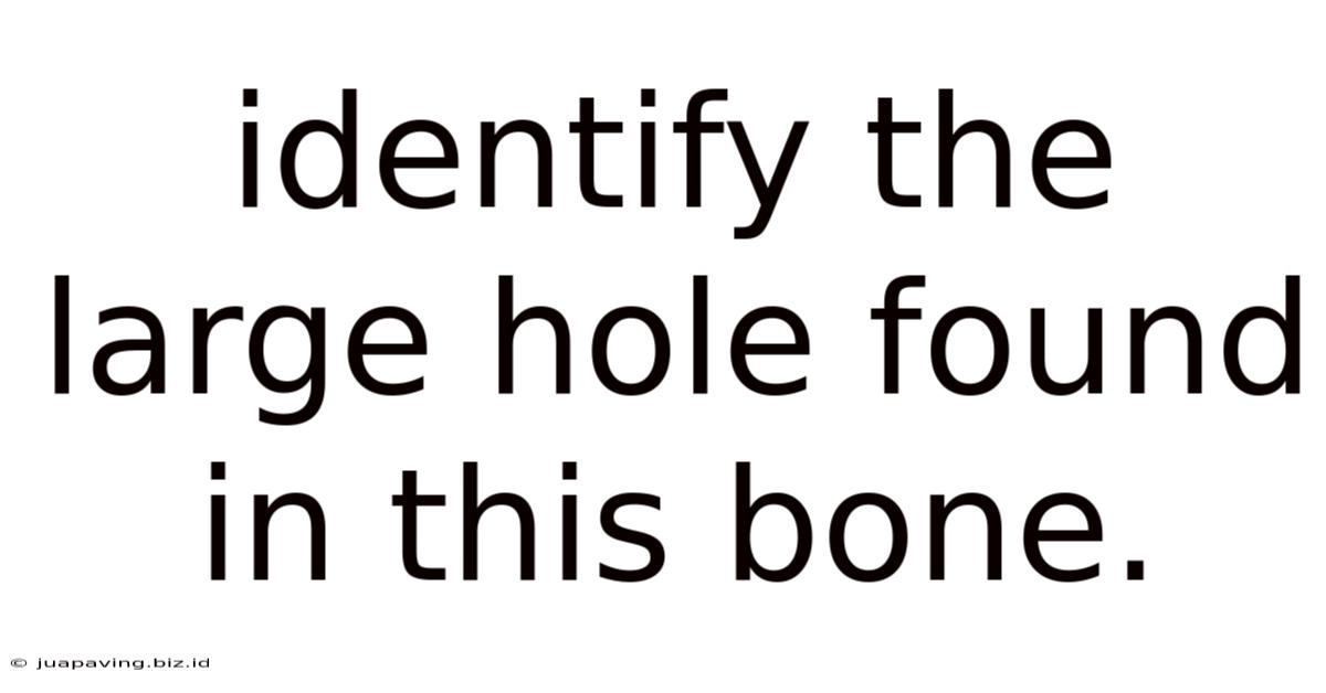 Identify The Large Hole Found In This Bone.