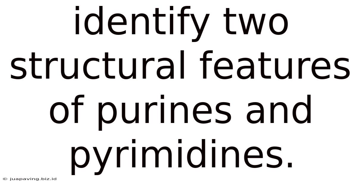 Identify Two Structural Features Of Purines And Pyrimidines.
