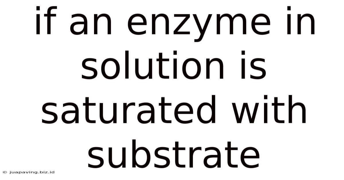 If An Enzyme In Solution Is Saturated With Substrate
