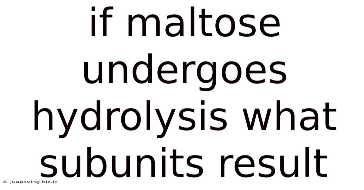If Maltose Undergoes Hydrolysis What Subunits Result