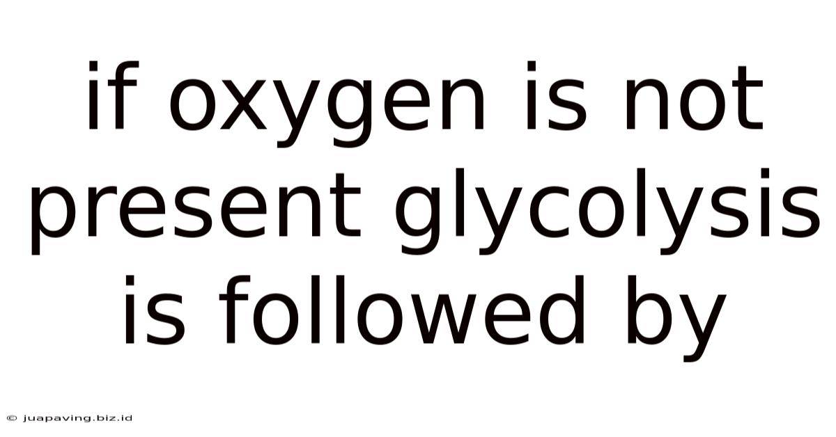 If Oxygen Is Not Present Glycolysis Is Followed By