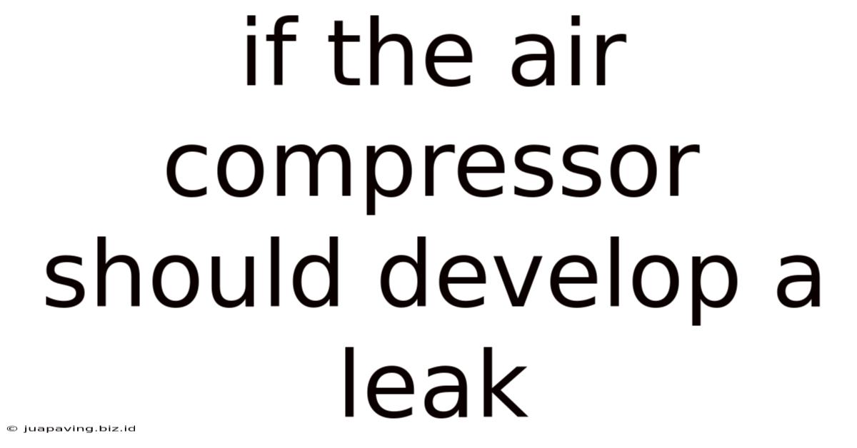 If The Air Compressor Should Develop A Leak